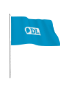 vlag bedrukken